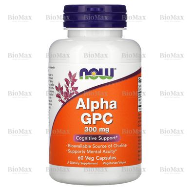 Альфа-GPC (альфа-глицерофосфохолин), Now Foods, 300 мг, 60 капсул