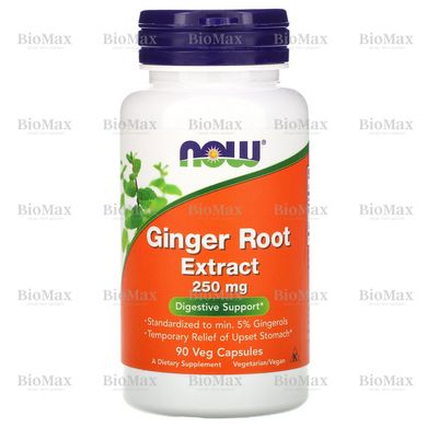 Екстракт кореня імбиру, Ginger Root Extract, Now Foods, 250 мг, 90 вегетаріанських капсул