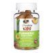 Куркумин с имбирем и черным перцем, Kids Turmeric Curcumin With Ginger & Black Pepper Extract Gummies, Lifeable, вкус персика, 250 мг, 60 жевательных конфет