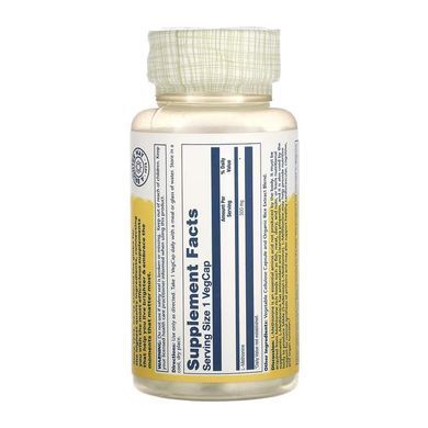 L-метіонін, L-Methionine, Solaray, 500 мг, 30 вегетаріанських капсул