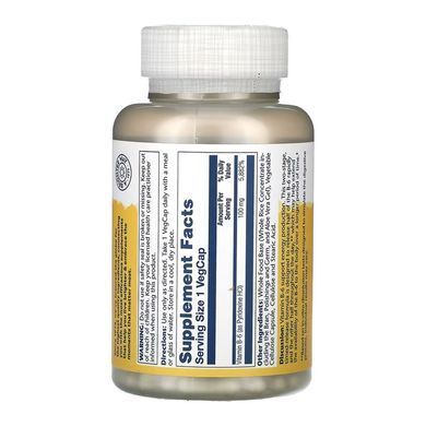 Витамин B6, Vitamin B-6, Solaray, медленное высвобождение, 100 мг, 120 вегетарианских капсул