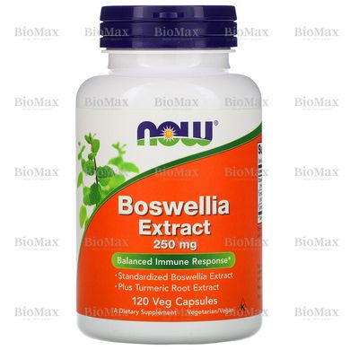 Босвелія, Boswellia, Now Foods, екстракт, 250 мг, 120 капсул
