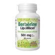 Берберин, Berberine LipoMicel Matrix, Natural Factors, 500 мг, 60 гелевих капсул