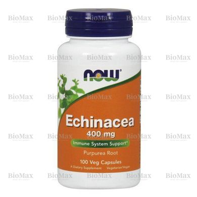 Ехінацея, Echinacea, Now Foods, 400 мг 100 капсул