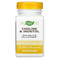 Холин и Инозитол, Choline\Inositol, Nature's Way, 1000 мг, 100 кап.