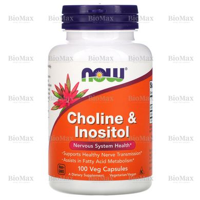 Холін (В4) і Інозітол (В8), Choline & Inositol, Now Foods, 500 мг, 100 капсул