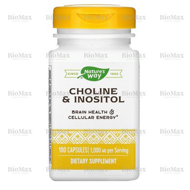 Холин и Инозитол, Choline\Inositol, Nature's Way, 1000 мг, 100 капсул