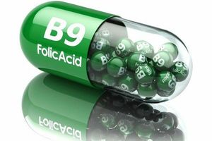 Фолиевая кислота: Витамин В9