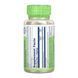 Астрагал, Astragalus, Solaray, корень, 400 мг, 100 вегетарианских капсул