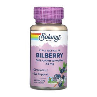 Черника, Bilberry, Solaray, экстракт ягод, 42 мг, 60 вегетарианских капсул