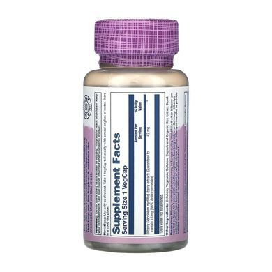 Чорниця, Bilberry, Solaray, екстракт ягід, 42 мг, 60 вегетаріанських капсул