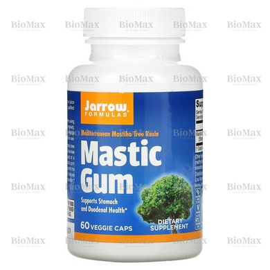 Мастикова смола, Mastic Gum, Jarrow Formulas, 60 рослинних капсул