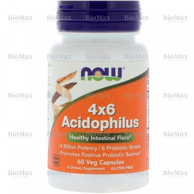 Пробиотики, 4x6 Acidophilus, Now Foods, 60 капсул