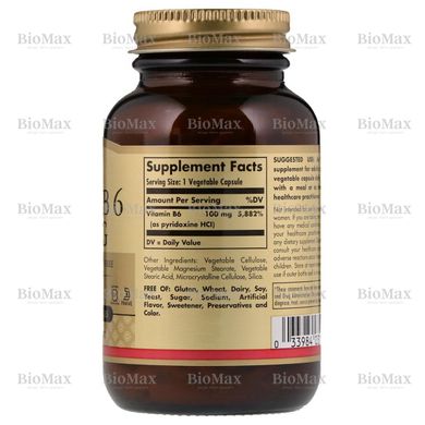 Витамин В6, Vitamin B6, Solgar, 100 мг, 250 капсул