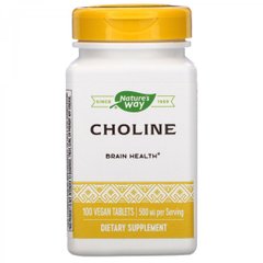 Холин, Choline, Nature's Way, 500 мг, 100 таблеток