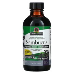 Черная бузина, Sambucus, Nature's Answer, 12000 мг, 120 мл