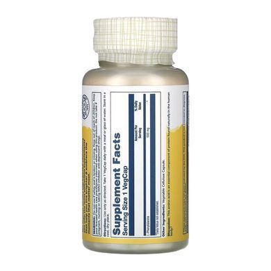 L-фенилаланин, L-Phenylalanine, Solaray, 500 мг, 60 вегетарианских капсул