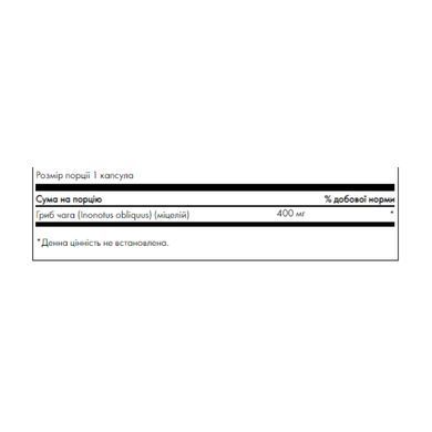 Гриб чага, Full Spectrum Chaga Mushroom, Swanson, 400 мг, 60 капсул