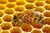 Продукти бджільництва