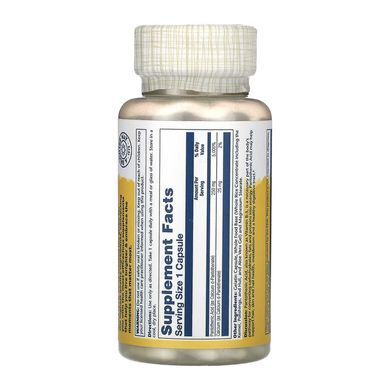 Пантотенова кислота, Pantothenic Acid, Solaray, 250 мг, 100 капсул