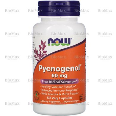Пікногенол, Pycnogenol, Now Foods, 60 мг, 50 рослинних капсул