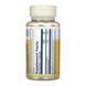 Пантотенова кислота, Pantothenic Acid, Solaray, 250 мг, 100 капсул