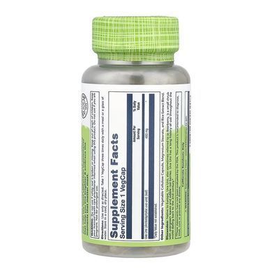 Толокнянка, Uva Ursi, Solaray, True Herbs, 460 мг, 100 вегетарианских капсул