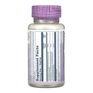 Розмарин, Rosemary, Solaray, Vital Extracts, екстракт листя, 275 мг, 45 вегетаріанських капсул